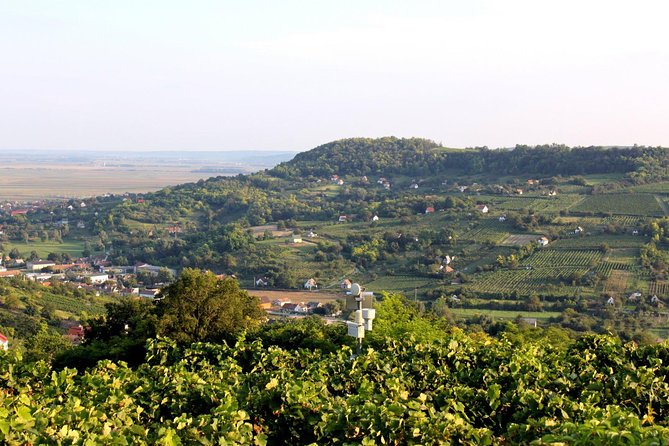 Private Wine and History Tour to Villany and Pecs From Budapest With Winetasting - Pricing and Booking Details