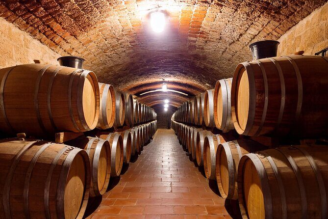 Private Wine and Local Flavors Tour from Palma de Mallorca - Good To Know