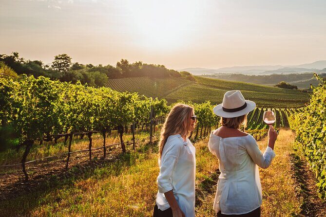 Private Wine and Local Flavors Tour from Palma de Mallorca - Exploring the Details of the Private Wine and Flavors Tour