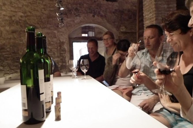 Private Wine and Oil Tour in the Priorat Wine Region - Tour Overview