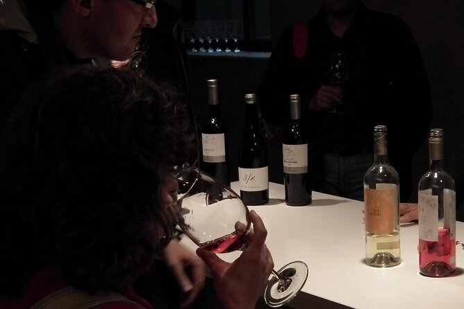 Private Wine and Oil Tour in the Priorat Wine Region - Inclusions