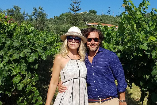 Private Wine and Olive Oil Tour With Wine Professional - Tour Details