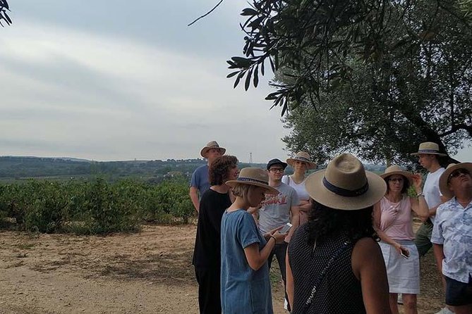 Private Wine & Cava Tasting Tour in Penedés Region With Hotel Pick up - Tour Overview