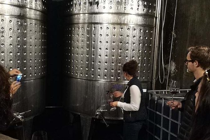 Private Wine & Cava Tasting Tour in Penedés Region With Hotel Pick up - Wine Region of Penedés