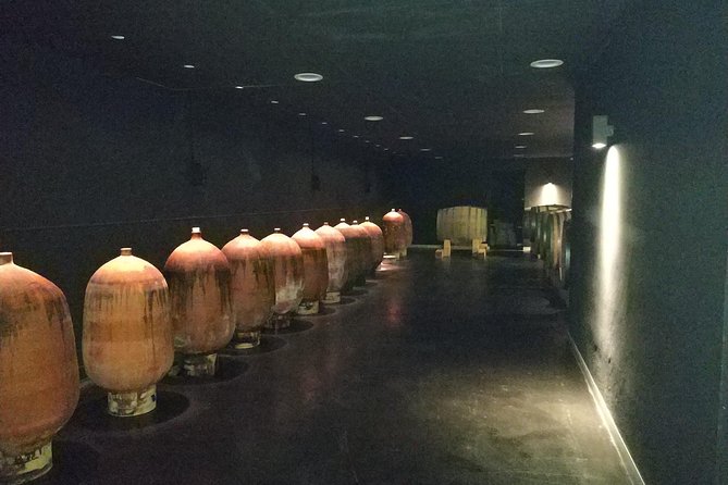 Private Wine & Cava Tasting Tour in Penedés Region With Hotel Pick up - Winery Visits and Wine-Making Techniques