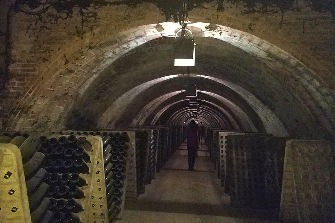 Private Wine & Cava Tasting Tour in Penedés Region With Hotel Pick up - Wine and Cava Tastings