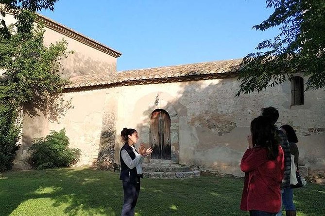 Private Wine & Cava Tasting Tour in Penedés Region With Hotel Pick up - Inclusions and Services