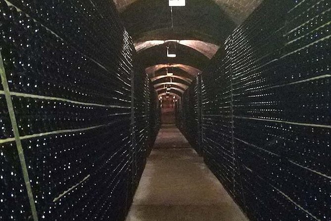 Private Wine & Cava Tasting Tour in Penedés Region With Hotel Pick up - Traveler Reviews and Ratings