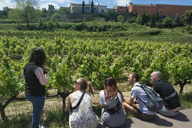 Private Wine & Cava Tasting Tour in Penedés Region With Hotel Pick up - Common Questions