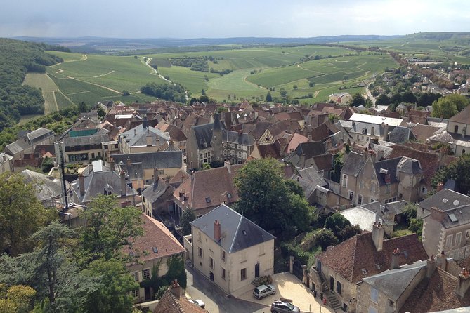 Private Wine & Cheese Tour to Loire Valley Vineyards From Paris - Tour Details