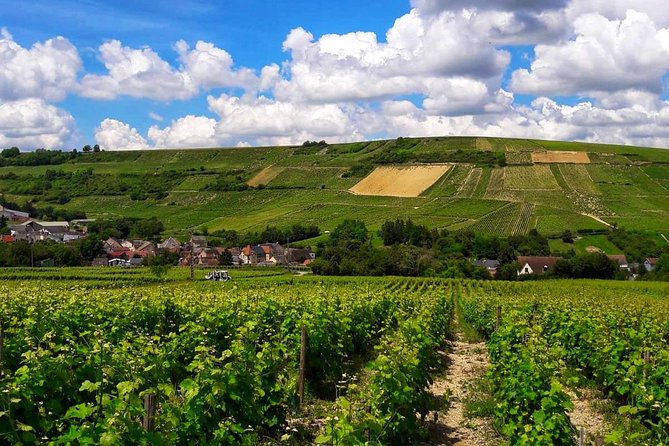 Private Wine & Cheese Tour to Loire Valley Vineyards From Paris - Frequently Asked Questions
