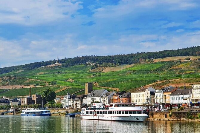 Private Wine Enjoyment Tour UNESCO Rhine Valley, Wine Tasting, River Cruise - Private Wine Enjoyment Tour Details