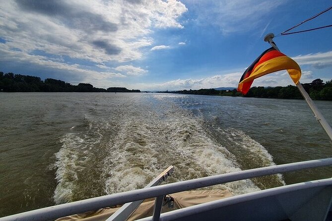 Private Wine Enjoyment Tour UNESCO Rhine Valley, Wine Tasting, River Cruise - Common Questions