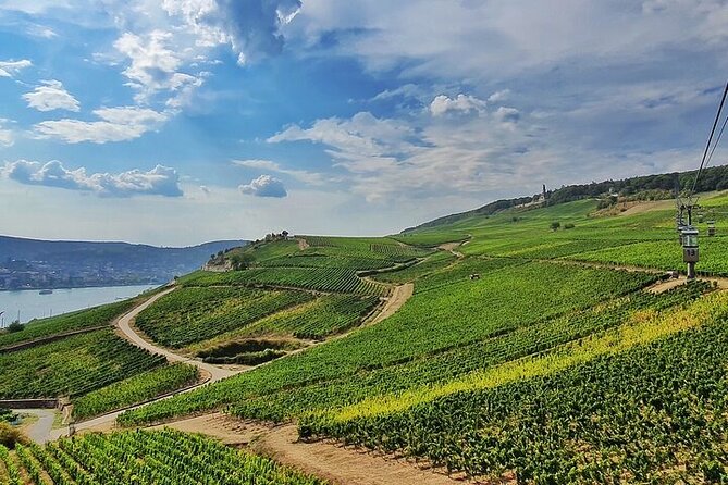 Private Wine Enjoyment Tour UNESCO Rhine Valley, Wine Tasting, River Cruise - The Sum Up