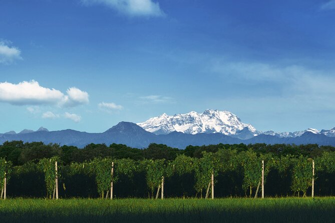 Private Wine Experience in Alto Piemonte at La Piemontina - Inclusions