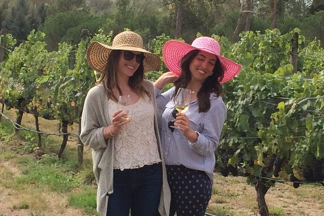 Private Wine Gourmet and Scenic Delights Tour From Picton - Traveler Reviews