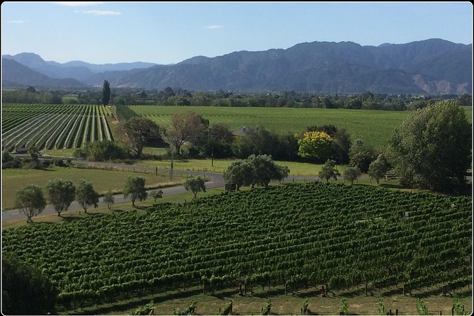 Private Wine Gourmet and Scenic Delights Tour From Picton - Questions and Pricing