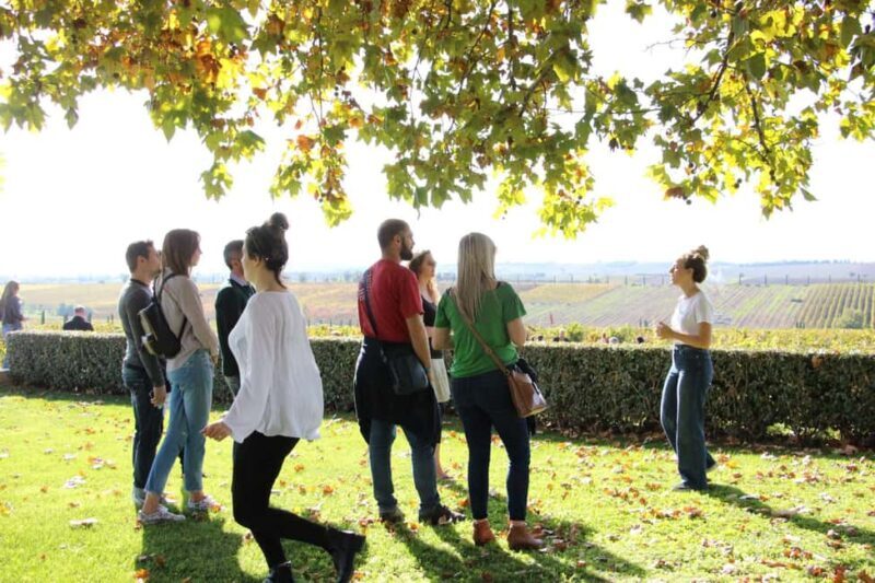 Private Wine & Museum Tour at Gerovassiliou Winery - Good To Know