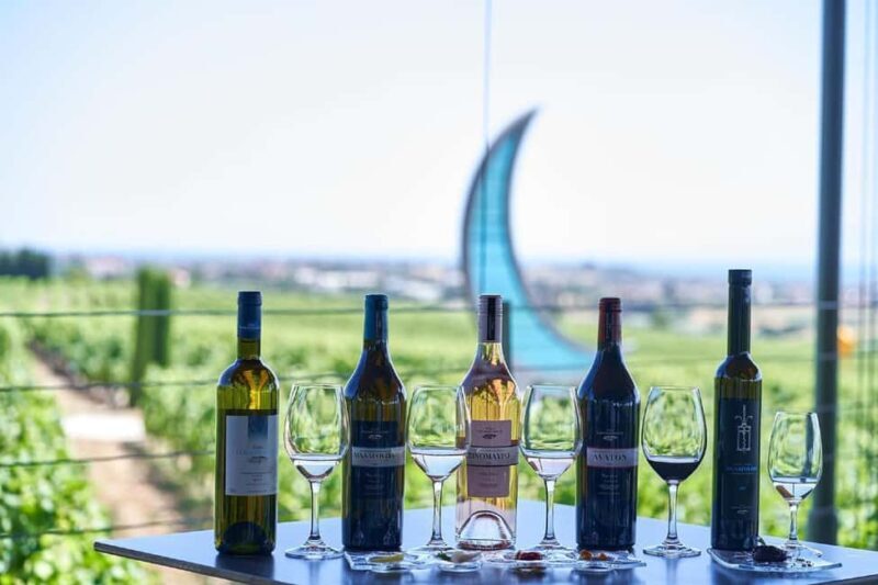 Private Wine & Museum Tour at Gerovassiliou Winery - Analyzing the Value