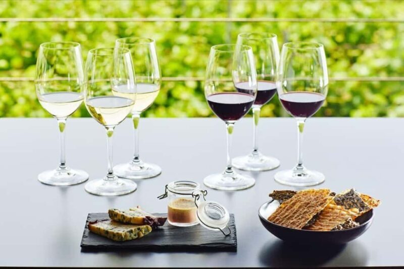 Private Wine & Museum Tour at Gerovassiliou Winery - The Sum Up