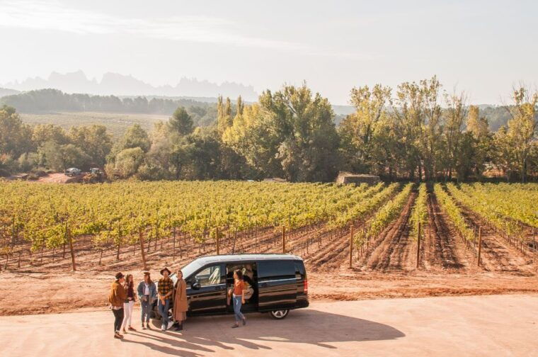 Private Wine, Tapas & Cava Experience From Barcelona - Wine Tasting and Cava Experiences