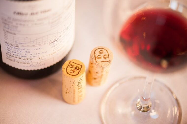 Private Wine, Tapas & Cava Experience From Barcelona - Tapas Lunch and Culinary Delights