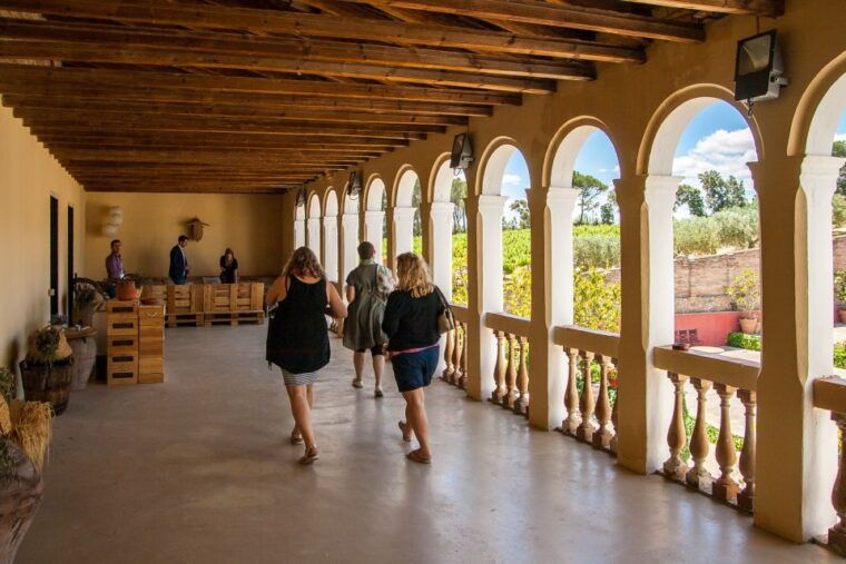 Private Wine, Tapas & Cava Experience From Barcelona - Guided Tours of Historic Sites