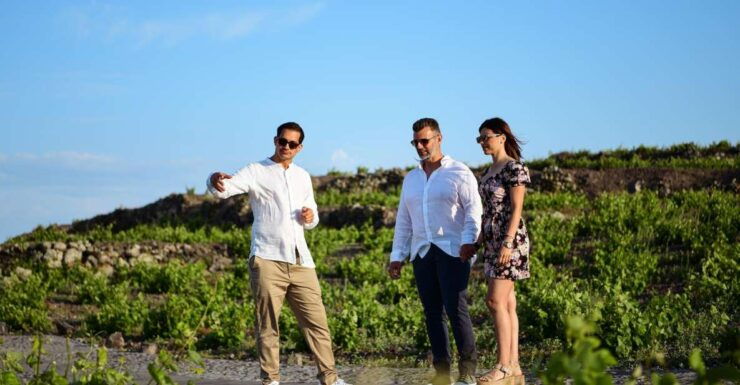 Private Wine Tasting and Food Pairing With Caldera Views - Experience Highlights