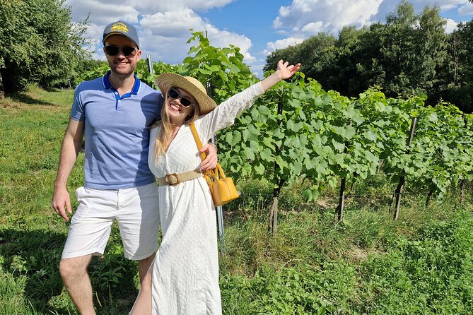 Private Wine Tasting at Vineyard From Krakow - Good To Know