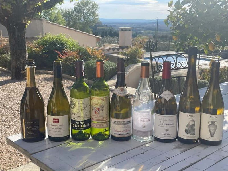 Private Wine Tasting at Your Holiday Rental - Who Will Love This Experience?