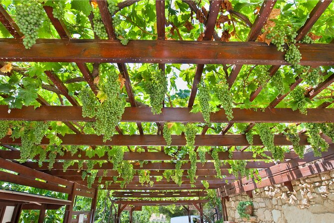 Private Wine Tasting - Choosing the Right Wine Tasting Experience