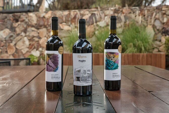 Private Wine Tasting Experience in Maglén - FAQ