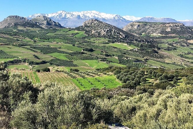 Private Wine Tasting Experience @ Stylianou Winery (Transfer Inc) - Inclusions