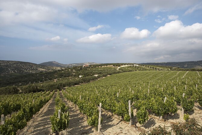 Private Wine Tasting Experience @ Stylianou Winery (Transfer Inc) - Price