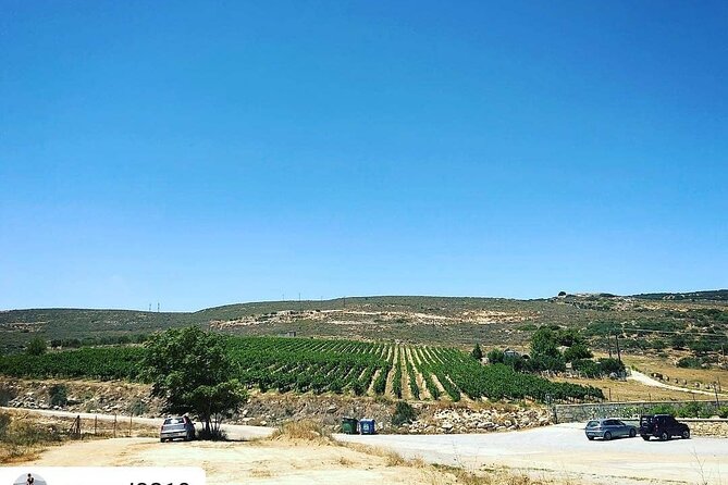 Private Wine Tasting Experience @ Stylianou Winery (Transfer Inc) - Transportation