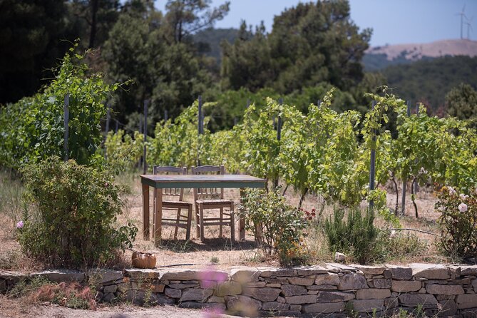 Private Wine Tasting Experience With Winemaker - Reviews and Ratings From Visitors