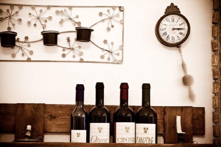 Private Wine Tasting in Family Owned Winery in Cisternino - Winery Background & Activity Details