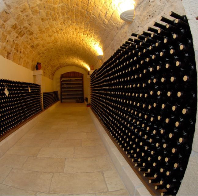 Private Wine Tasting in Family Owned Winery in Cisternino - Unforgettable Experience Highlights
