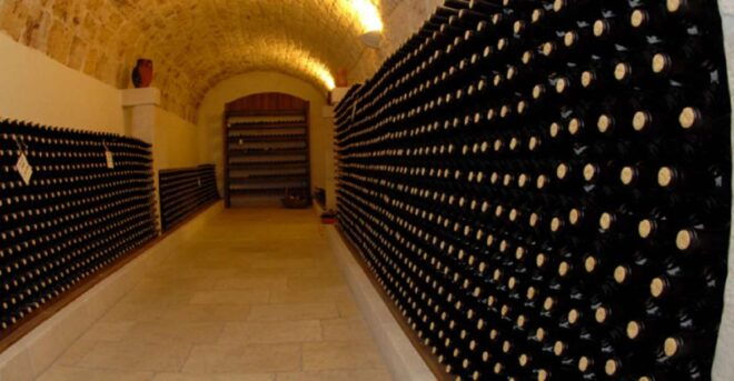 Private Wine Tasting in Family Owned Winery in Cisternino - Immersive Winery Exploration