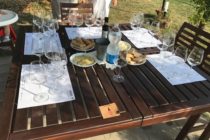 Private Wine Tasting in Lucca - 5 Wines and a Taste of Local Products - Affordable Pricing Options