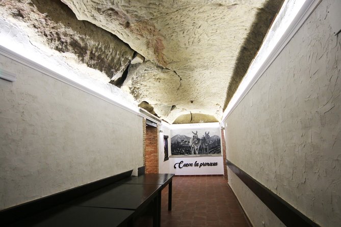 Private Wine Tasting in San Vicente De La Sonsierra - Bookings and Availability