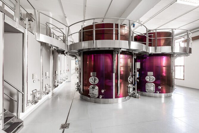 Private wine tasting of Palazzo di Varignana - The Sum Up