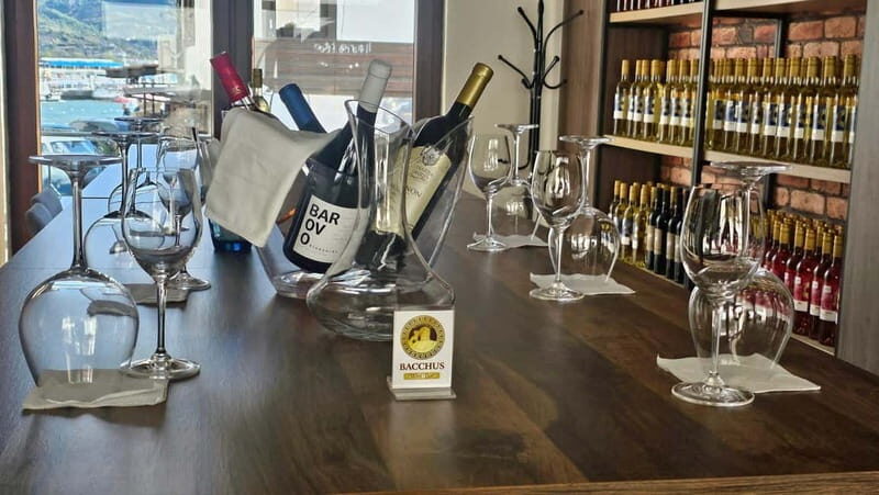 Private Wine Tasting Ohrid - Additional Insights from Reviews