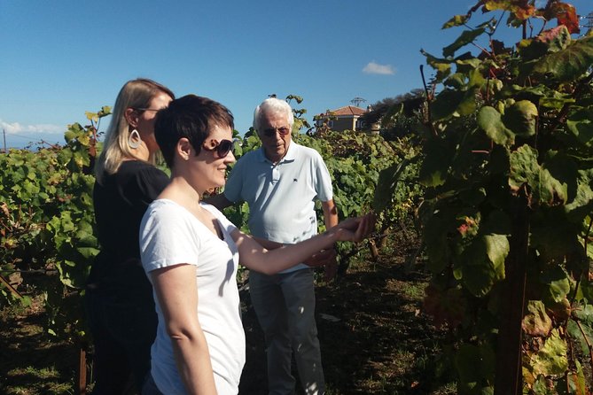 Private Wine Tasting Tour - Traveler Reviews