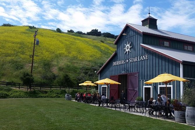 Private Wine Tasting Tour From Santa Ynez, Solvang or Buellton! - Tour Details