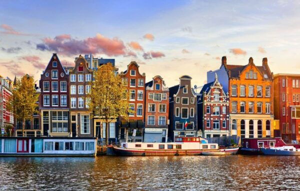 Private Wine Tasting Tour in Amsterdam With Wine Guide - The Sum Up