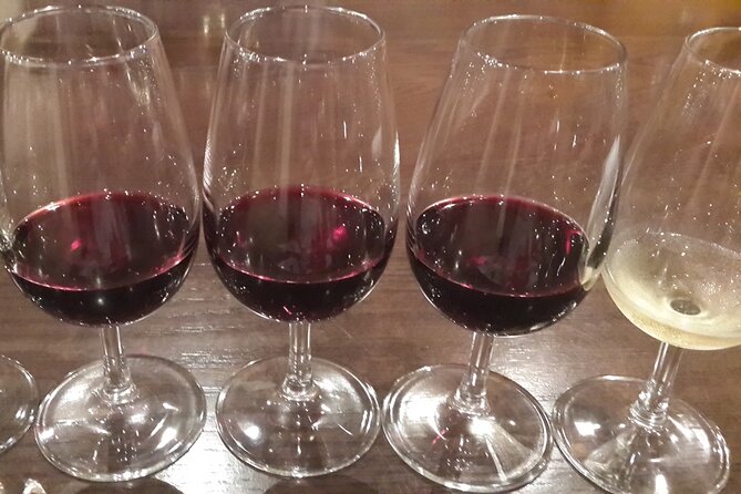 Private Wine Tasting Tour in Cape Town - Pickup and Start Details