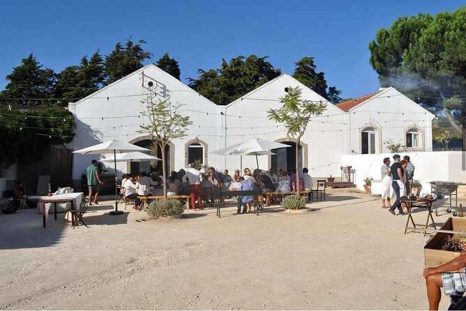 Private Wine Tasting Tour In Lisbon Wine Region - Wine Tasting Experience Overview