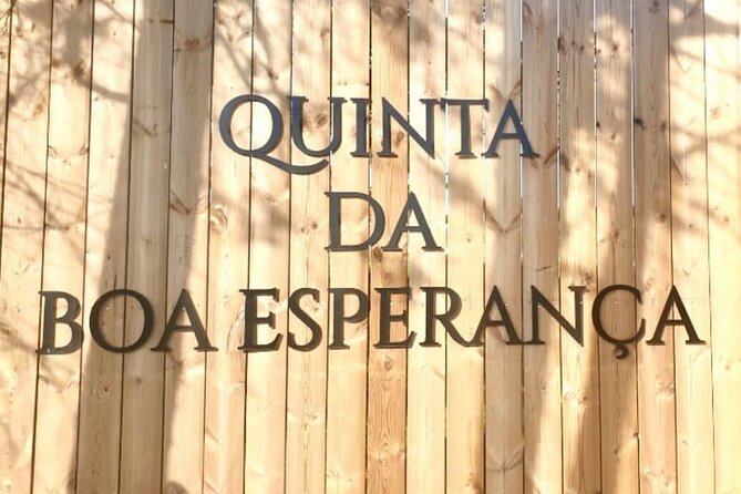 Private Wine Tasting Tour In Lisbon Wine Region - Frequently Asked Questions