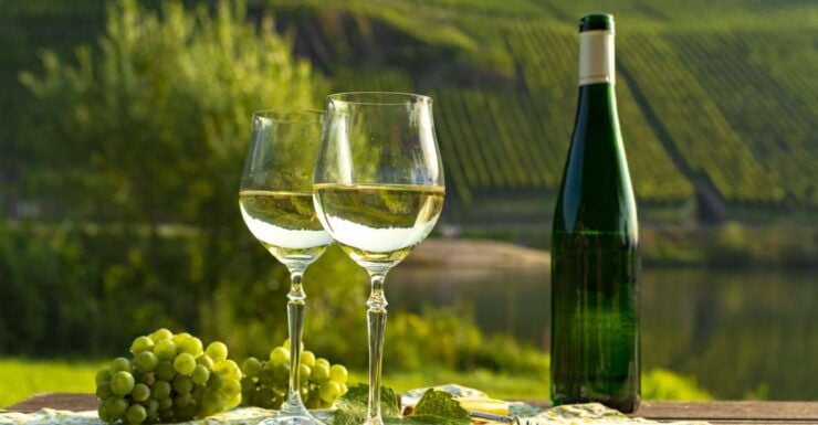 Private Wine Tasting Tour in Munich With a Wine Expert - Tour Details and Options